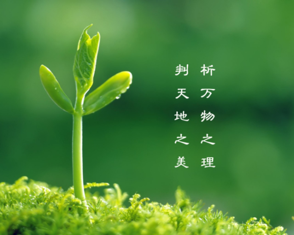 預熱引流短(duǎn)視(shì)頻如何投放
