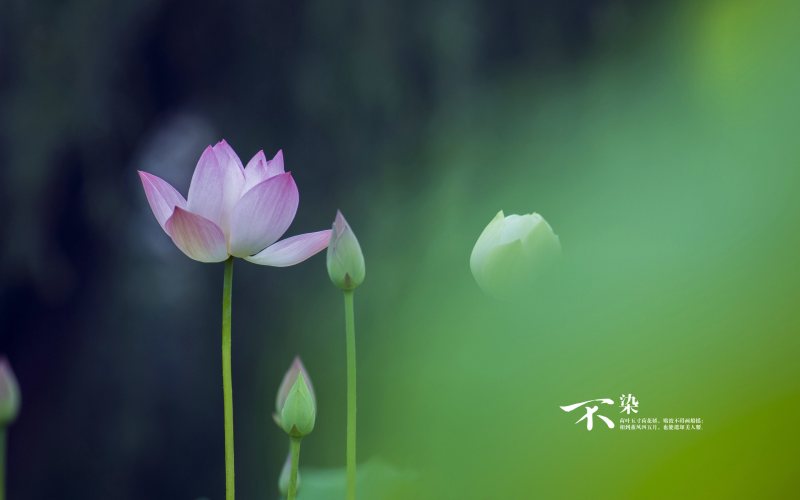 如何寫這幾年的文案