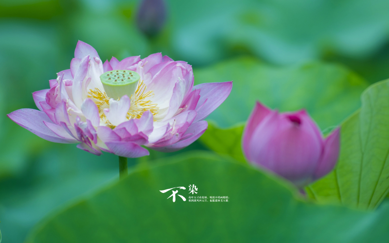 如何寫一部爆火(huǒ)的文案小(xiǎo)說