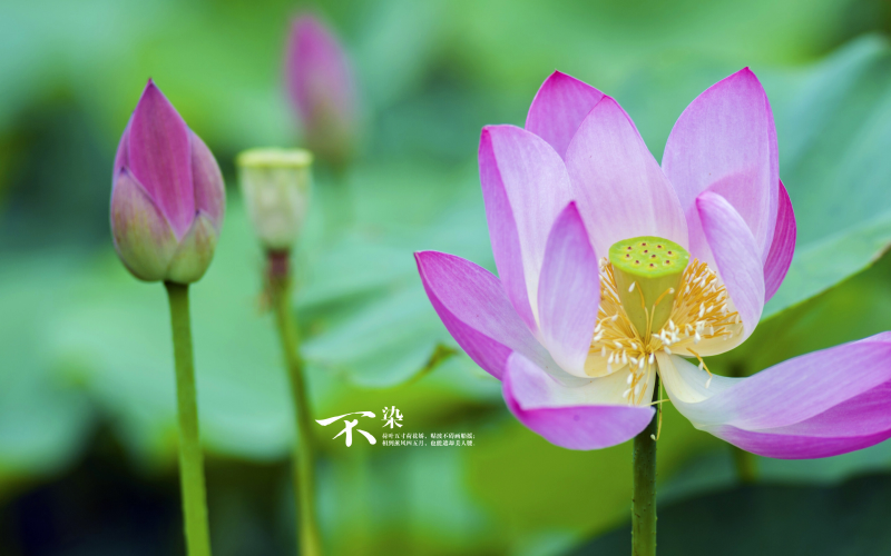 人(rén)工智能chatgpt發明(míng)者